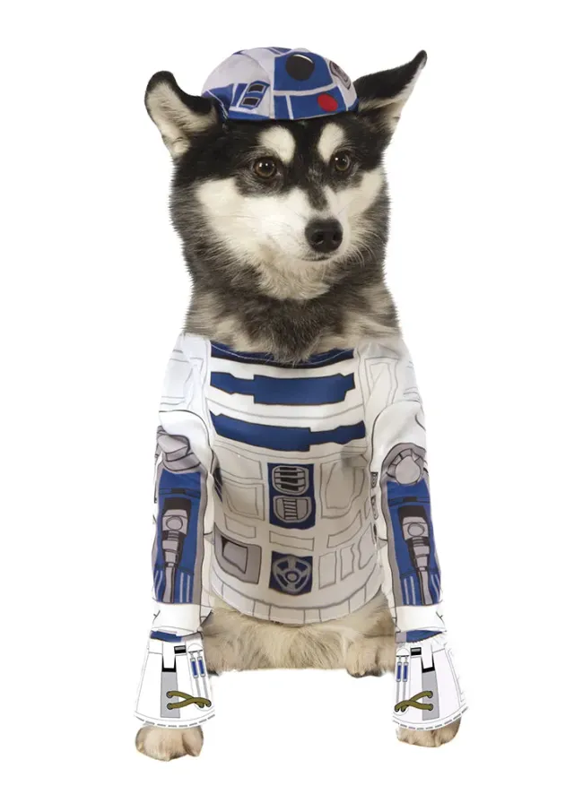 Rubies R2-D2 costume animali domestici con cappuccio