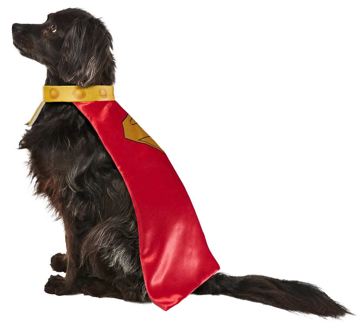 Rubies Krypto costume cane mascotte