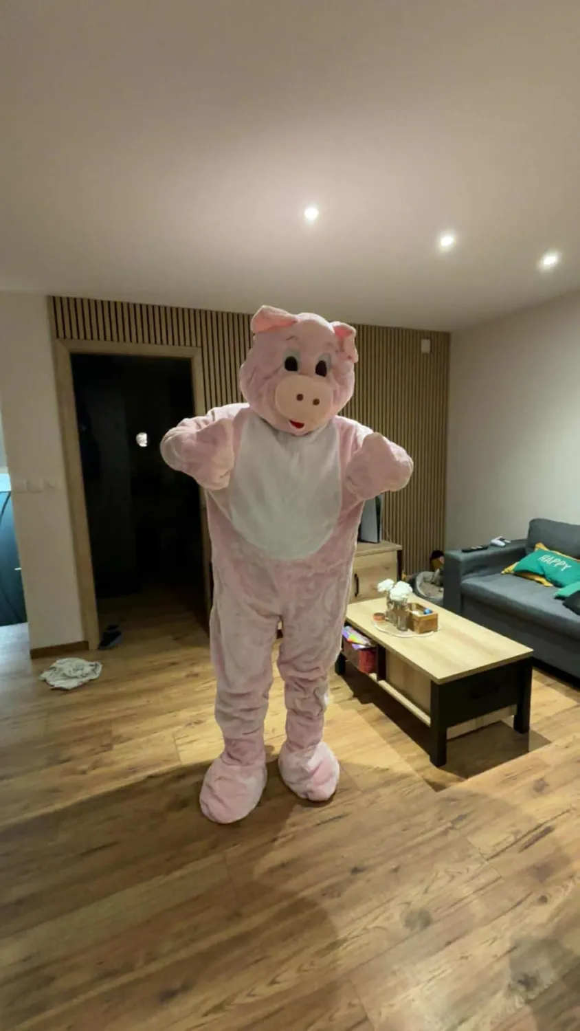 Dress Up America Maiale mascotte peluche taglia unica