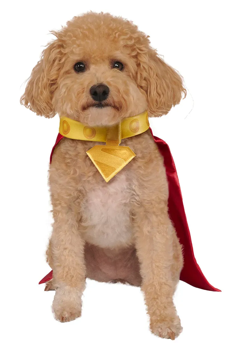 Rubies Krypto costume cane mascotte