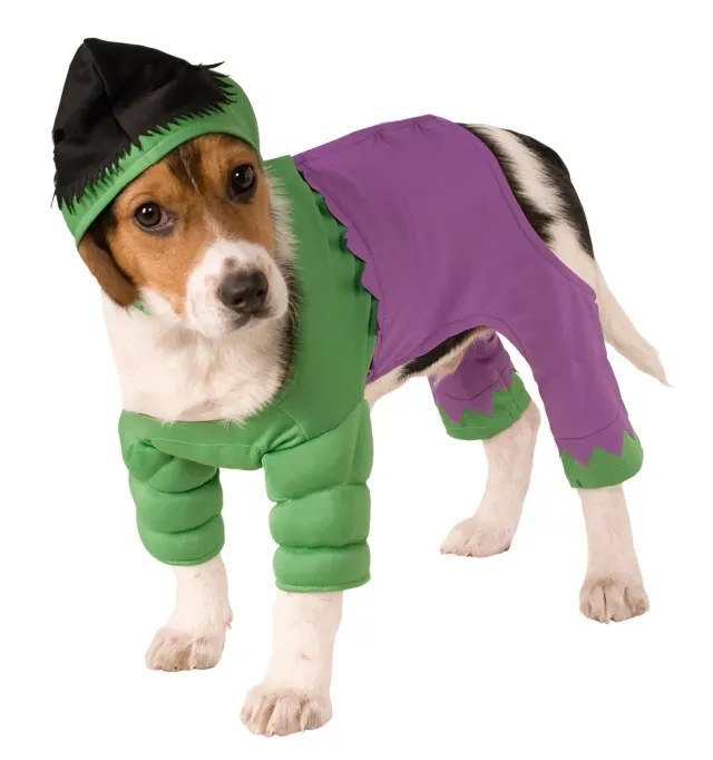 Rubies Hulk costume cane S muscoli supereroe