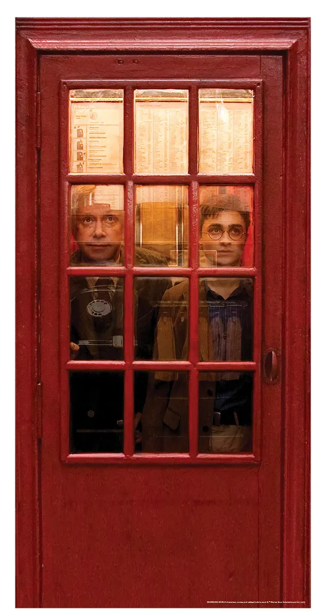 Rubies Harry Potter copertura porta cabina taglia unica