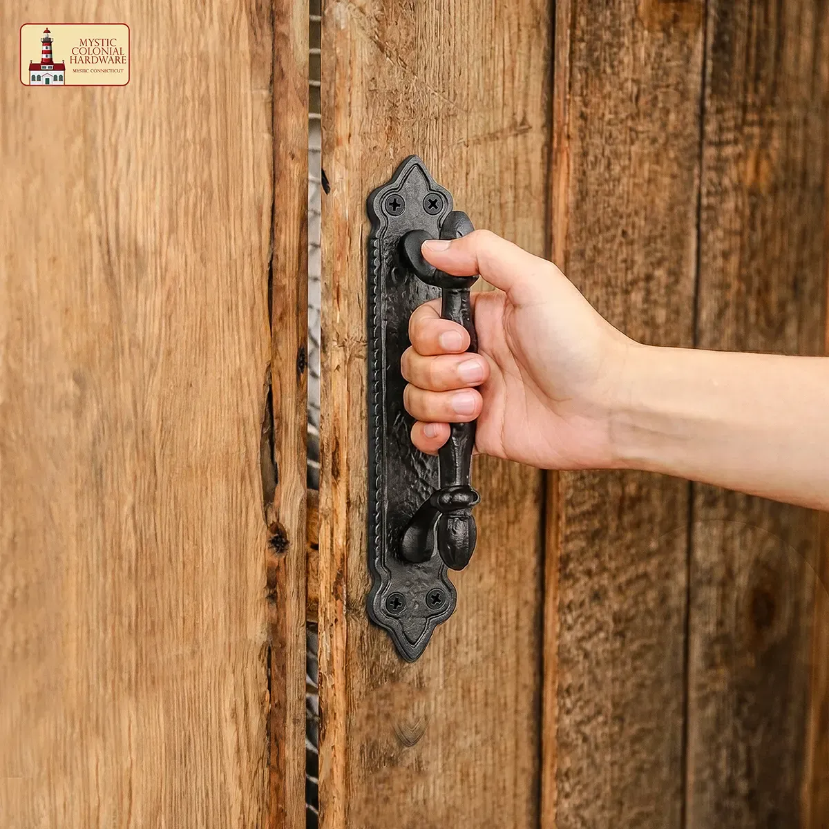 Medieworld Victorian Door Pull Handle maniglia ghisa 2pz