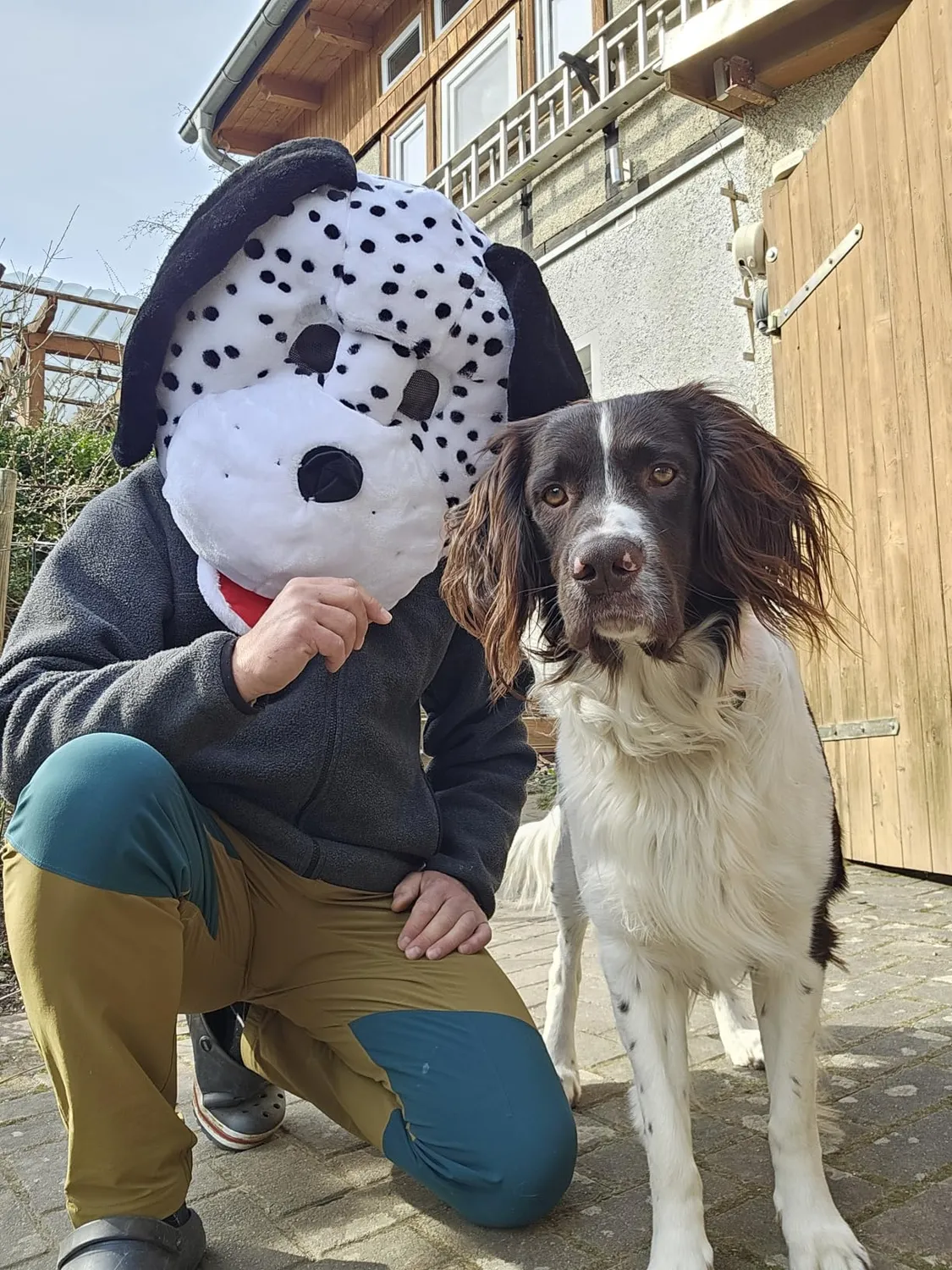 Dress Up America Dalmata mascotte cane taglia unica
