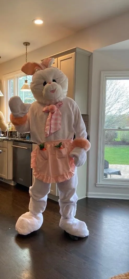 Dress Up America Coniglio Mascotte Costume Peluche Adulto